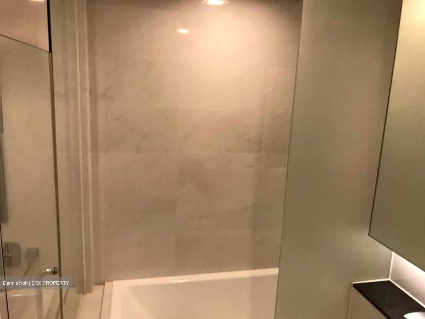 Nathan Suites (D10), Condominium #568871111